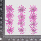 Fleurs séchées pressées naturelles de Queen <span class=keywords><strong>Anne</strong></span>'s Lace pour la résine, la bijouterie DIY, les loisirs créatifs et les fournitures pour le nail art - Product Image 6