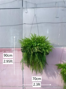 Certificata artificiale appesa <span class=keywords><strong>felci</strong></span> e viti resistente all'aperto erba finta plastica edera pianta appesa certificata resistente - Product Image 3