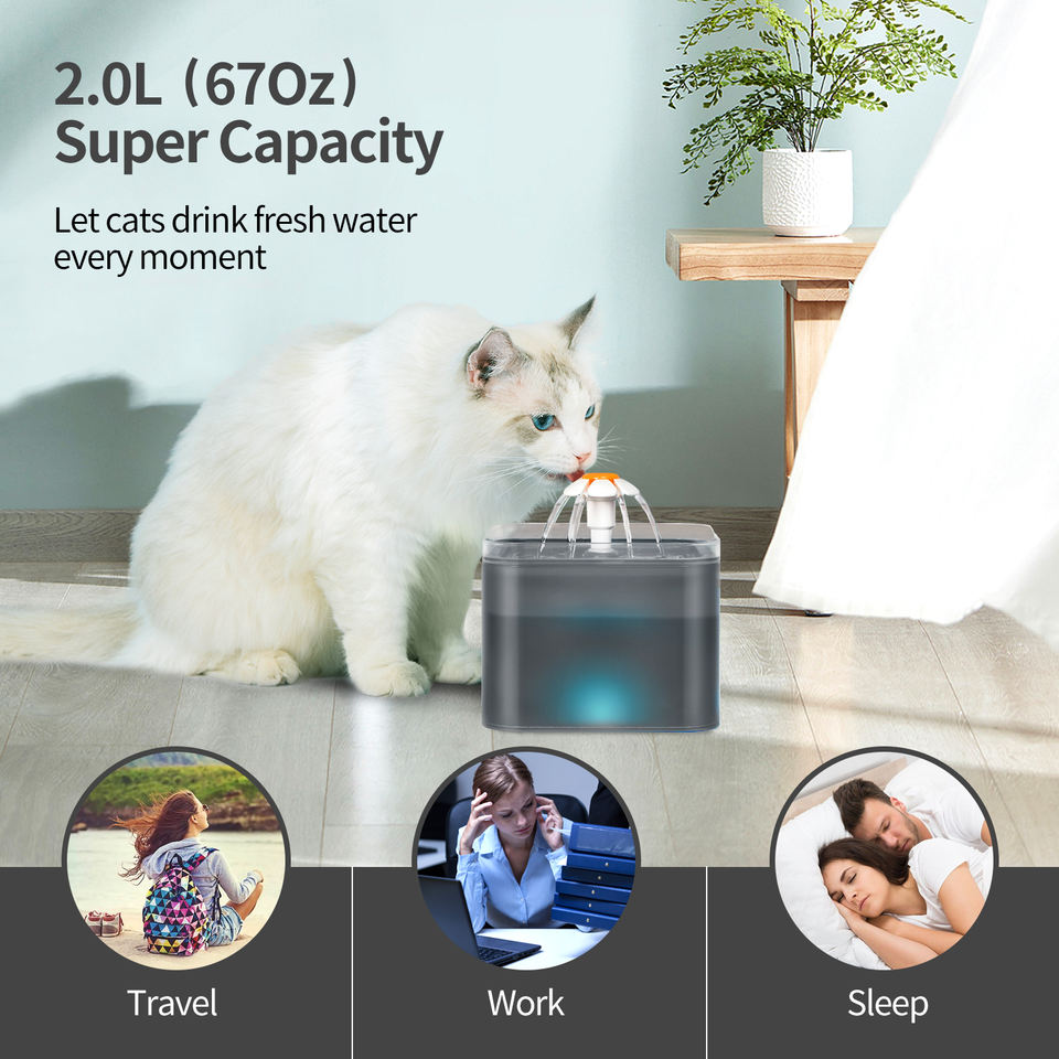 2L Ultra-Quiet USB Cat Water Fountain - Image 5