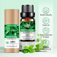 Huile Essentielle Biologique Pure de Menthe Poivrée OEM : Inhibe Efficacement les Bactéries et l'Inflammation pour l'Aromathérapie Visage et Corps
