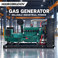 Automatisch Startender 40kW 50kVA Biogas-Generator für Landwirtschaft und Abfallenergie-Projekte