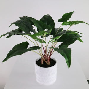 <span class=keywords><strong>ต้น</strong></span>คาลาเธียเทียมขนาดเล็กพร้อมกระถางสำหรับตกแต่งบ้าน - Product Image 5