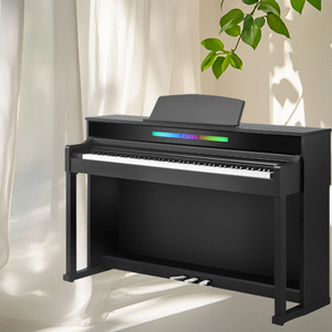Hailun giá bán buôn: H-305 88-Key Đàn <span class=keywords><strong>piano</strong></span> điện cầm tay Đàn <span class=keywords><strong>piano</strong></span> điện tử bàn phím - Product Image 5