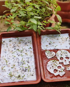 Ecowill 100% handmade thực vật có thể trồng hoa dại tùy chỉnh hạt giống giấy Bookmark - Product Image 5