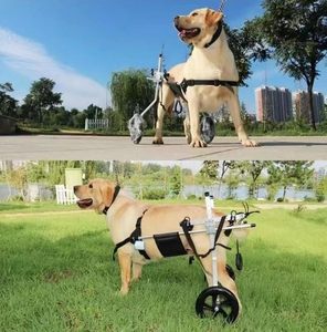 <span class=keywords><strong>Silla</strong></span> <span class=keywords><strong>de</strong></span> <span class=keywords><strong>Ruedas</strong></span> Económica <span class=keywords><strong>de</strong></span> 2 <span class=keywords><strong>Ruedas</strong></span> <span class=keywords><strong>para</strong></span> <span class=keywords><strong>Perros</strong></span> Grandes, Carrito <span class=keywords><strong>para</strong></span> Mascotas XL <span class=keywords><strong>para</strong></span> Patas Delanteras y Traseras - Product Image 2