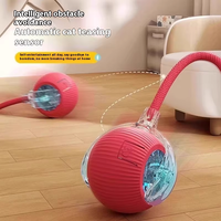OEM ODM Mainan Interaktif & Gerak untuk Hewan Peliharaan, Bola Kucing Pintar Elektrik, Mainan Bola Kucing Speedy Tail Interaktif untuk Mascotas, Produk Terlaris