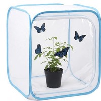 Boîte de présentation pliable et portable en maille transparente pour plantes vertes en pot d'intérieur, modèle MY-021, idéale pour l'exportation transfrontalière