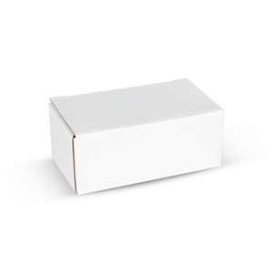 Lampe de <span class=keywords><strong>plaque</strong></span> d'<span class=keywords><strong>immatriculation</strong></span> LED haute luminosité pour Peugeot <span class=keywords><strong>206</strong></span> Citroen C3 ISO certifié lumière de voiture - Product Image 6