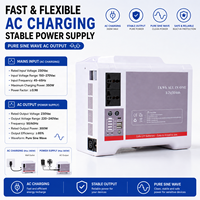 Générateur solaire portable 300W sortie AC, 200W entrée PV, 350W charge AC, station d'alimentation tout-en-un