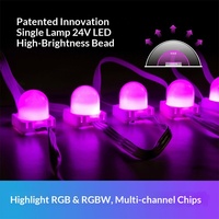 Guirlandes lumineuses décoratives de Noël intelligentes à LED à pixels changeants de couleur, étanches IP67, DC 24V, télécommandées, pour les avant-toits et les cours