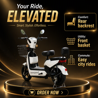 Vélo Électrique Paige en Promotion Usine, Scooter Motorisé ODM/OEM 48V 250W UE, Vélo Électrique Urbain Mini Pas Cher pour Femme, Vélo-Pedicab