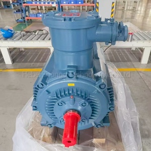 <span class=keywords><strong>Moteur</strong></span> synchrone triphasé à aimant permanent antidéflagrant pour l'exploitation minière du <span class=keywords><strong>charbon</strong></span>, haute performance, efficacité IE4, 185 kW - Product Image 3
