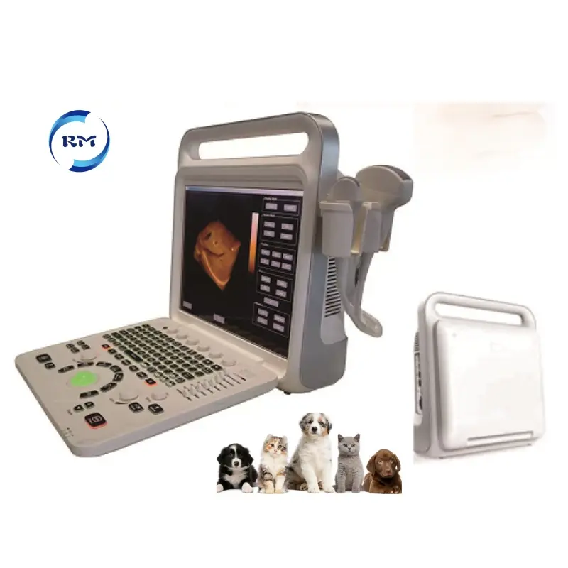 Rayman Veterinair Medisch Instrument Ultrasone Kleur Doppler Draagbare Scanner Ultrasone 4d Dierenarts Echografie Machine