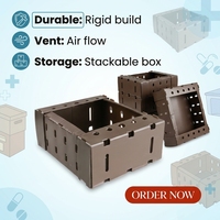 Boîtes d'expédition pliables en plastique alvéolé pour raisins et brocolis, boîtes de rangement empilables en plastique PP ondulé, boîtes de manutention pliables