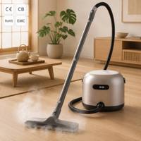 Nettoyeur vapeur professionnel haute température grande capacité pour tapis, sièges de voiture et tissus d'ameublement (humide et sec)