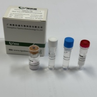Kit de PCR en Tiempo Real Liofilizado para el Virus de la Leucosis Aviar VIPOTION NCQM-R-7031, PCR en Tiempo Real para Diagnóstico Veterinario de Aves/Pollos, Fácil de Usar