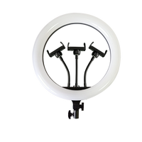 Anneau Lumineux LED RVB en Cœur de 14 Pouces pour Maquillage, Selfie, avec Trépied