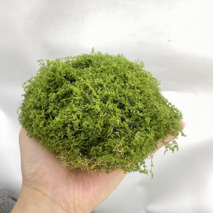 8 Piezas de <span class=keywords><strong>Musgo</strong></span> <span class=keywords><strong>Artificial</strong></span> para Decoración de Micro Paisajes y Bonsáis, Follaje <span class=keywords><strong>Artificial</strong></span> Realista - Product Image 6