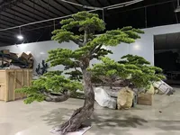 Bois naturel Artificiel Bonsaï Arbre Verdure Style Pin Aiguille Sculpture pour La Maison Jardin Décor Haut Facteur D'assurance