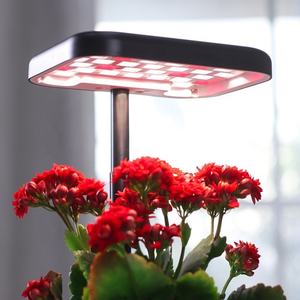 Maceta Inteligente para Jardinería Interior, Maceta Hidropónica con Autorriego, Macetas Inteligentes para Hierbas y Plantas - Product Image 4