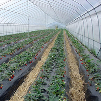 Petites serres agricoles en PE, serres tunnel/dôme monocouche en film, structure en acier galvanisé à chaud pour