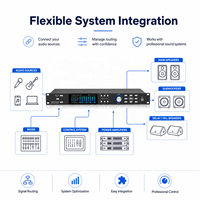 Processeurs audio haut de gamme PL3006, 3 entrées 6 sorties, système de sonorisation DSP, mixeur numérique intelligent professionnel, processeur audio