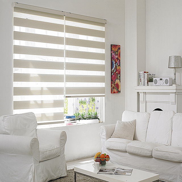 Factory Direct Smart Zebra Plain Vertical Blinds Modern WiFi Controlled Office Blackout Electric Built-in Waterproof Polyester