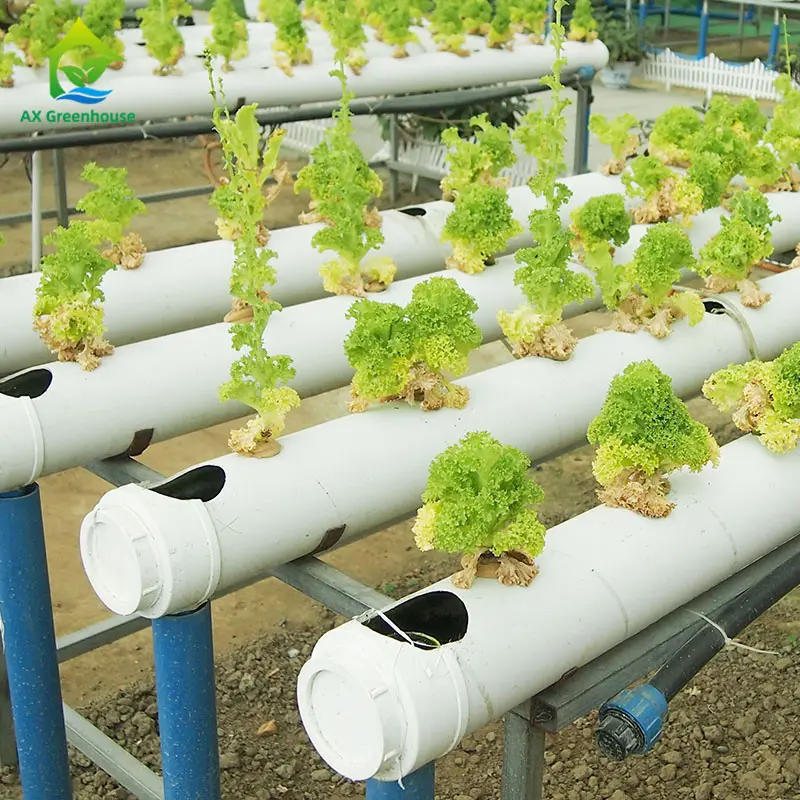 温室野菜植栽NFTチャンネル自動水耕栽培システムキット