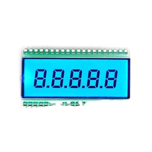 Factory Outlet tùy chỉnh 5 chữ số LCD hiển thị cho nhiên liệu cho phân khúc hiển thị - Product Image 1