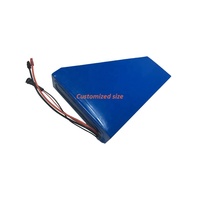 Batterie au lithium personnalisée pour vélo électrique, tricycle, cyclomoteur, E-bike 48V 25Ah 13S9P, batterie Li-Ion triangulaire avec BMS intelligent