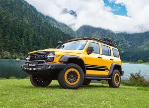 2023 tanque 300 conmemorativo 2,0 T 4WD AWD 5 asientos versión coches usados China nuevo Super velocidad rápida SUV gasolina <span class=keywords><strong>coc</strong></span> - Product Image 5