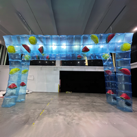 Arco Inflable Transparente de PVC para Exteriores, Arco Inflable Personalizado para Publicidad, Arco Transparente para Decoración de Eventos