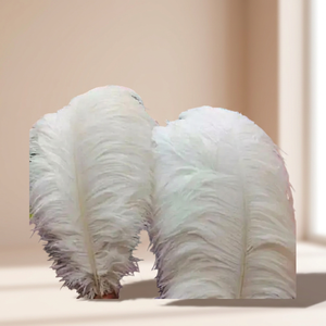 Plumas de Avestruz Naturales Largas Multicolores, Plumas de Pavo Real para Fiestas, Carnavales, Decoraciones y Bodas de Alemania - Product Image 3