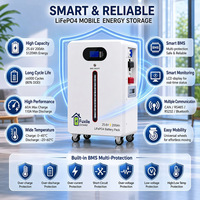 Batterie de stockage d'énergie mobile LiFePO4 6000 cycles 5,12 kWh 25,6 V 200 Ah avec BMS intelligent pour l'alimentation de secours solaire domestique