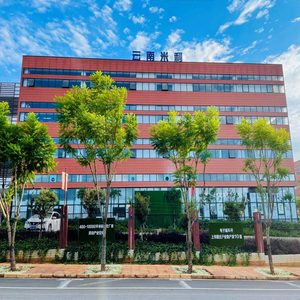 Extracto de Lima pura de fábrica, de agua líquida Base, aclara, sabor a limón Natural, sabor a fruta para cerveza, bebida de refresco - Product Image 5