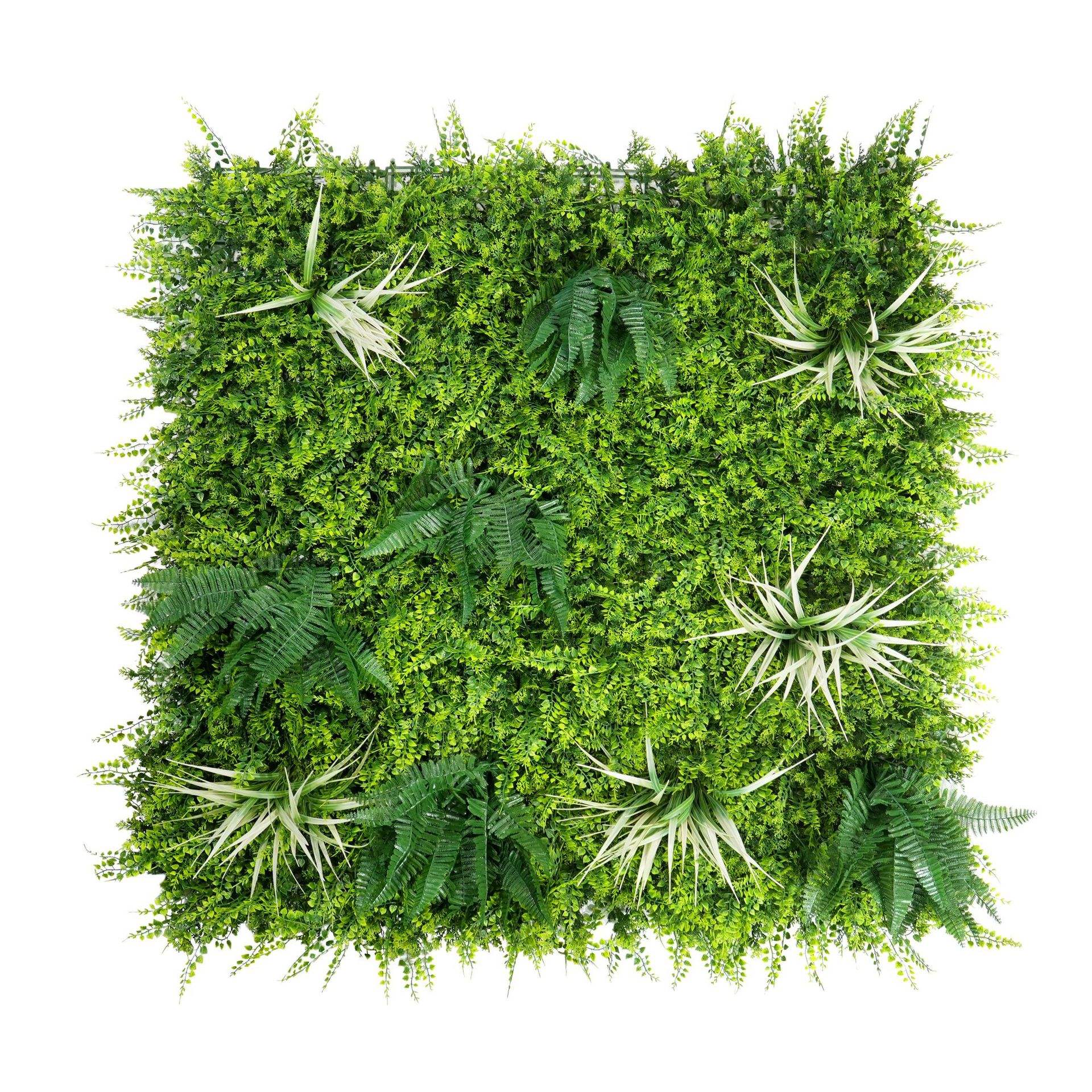 Bleu luxuriant et blanc