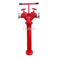 CA Fire Bouche d'incendie au sol russe Fournisseur de bouche d'incendie en aluminium de type Y Gost