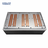 Refroidisseur d'air haute puissance personnalisé Laige, dissipateur thermique à eau, plaque de refroidissement en aluminium avec tubes en cuivre