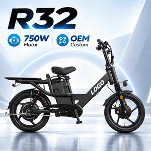 Bicicleta Eléctrica Comercial con Logotipo Personalizado, 48V 32Ah 750W, Doble Suspensión, Freno de Disco Hidráulico, Carga de 200KG, R32 - Product Image 1