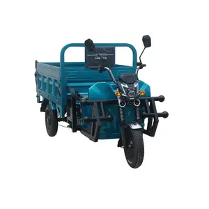 600w/800w/1000w triciclo elettrico Cargo Bike Trikes per adulti