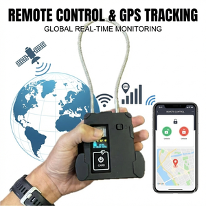 Bloqueo GPS 4G LTE para Seguridad en Almacenes Fronterizos y Zonas de Inspección - Product Image 1