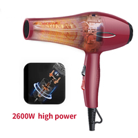 Sèche-cheveux professionnel portable sans fil pour la maison, mini moteur 2400w, brosse à peigne inversée, 110v 220v, électrique, plastique