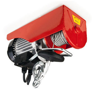 Machine de construction grue ascenseur 200kg 800kg 500kg 110V 230v Mini petit treuil à câble palan électrique - Product Image 3