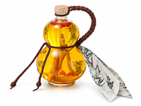 Bouteille en verre en forme de gourde de 500 ml, pot hermétique pour le stockage de vin de ginseng, bouteille de stockage de liqueur avec bouchon en caoutchouc – Offre Spéciale