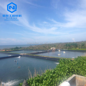 0.5Mm 1Mm 1.5Mm 2Mm Geomembraan Voor Viskwekerij Vijver Liner Zwembad Viskwekerij Vijver Liner Tank Dam Voering Hdpe - Product Image 1