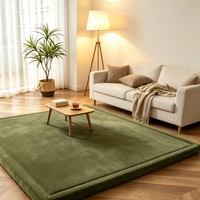 Großhandel OEM Korallenvelours Memory Foam Tatami Teppich für Wohnzimmer Yoga Rutschfeste Baby Krabbelmatte Kinder Spielmatte Bodenmatte