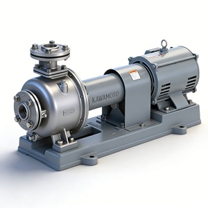 Kawamoto Kr-M Stainless Steel Centrifugal <b>Pump</b> 304 <b>Electric</b> Three-Phase Motor 1/2 In Discharge <b>Water</b> Use - Product Image 2