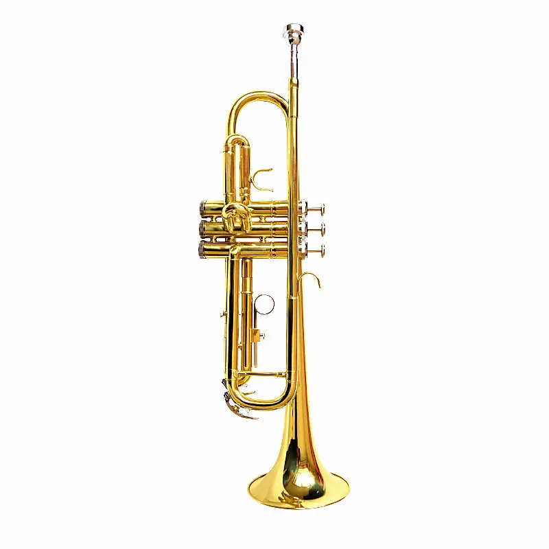 Conjunto de instrumentos musicais para banda de performance trompete B-tone baixo instrumento de latão laca dourada