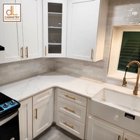 Pas de quantité minimale de commande US Entrepôts RTA Armoires Stock Blanc Shaker Peinture Modulaire Armoires de Cuisine et Accessoires pour la Maison et la Vente en Gros
