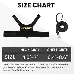 Harnais personnalisé en nylon pour lézard barbu, reptile, avec laisse courte réglable de 5 pieds pour la marche en extérieur - Product Image 2